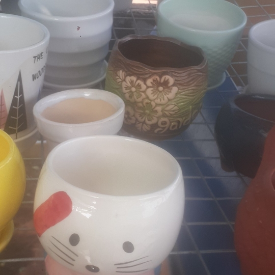Chậu 2