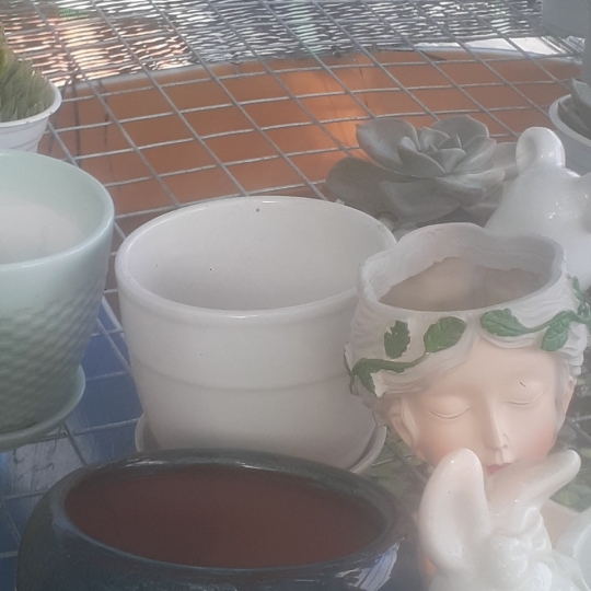 Chậu 3